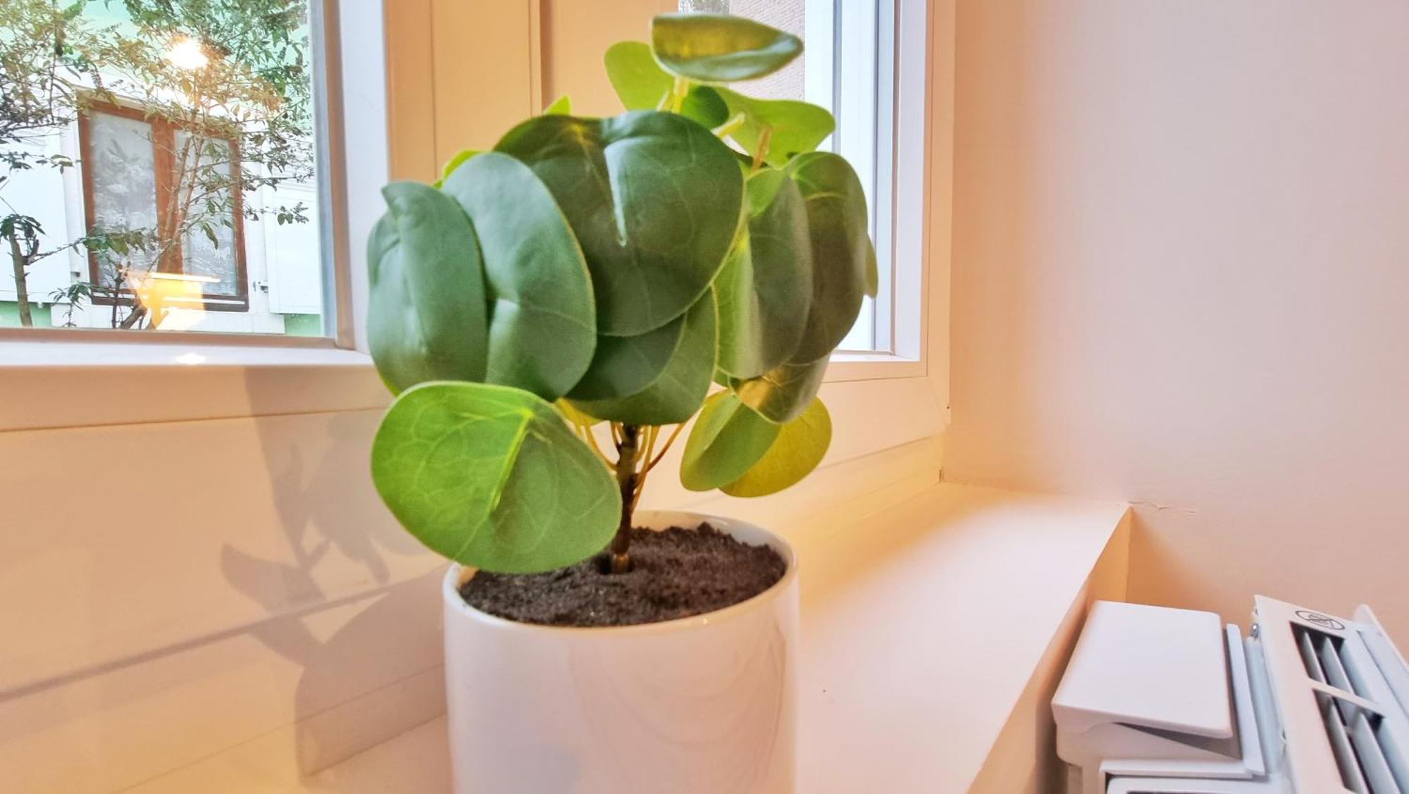 La Buhl Verte - Chic Et Moderne - Calme - Fibre - Relax Bnb Buitenkant foto